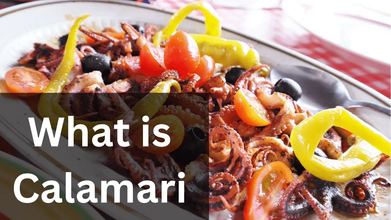 What is calamari