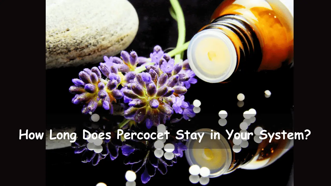how long does percocet stay in your system